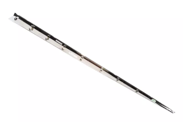 Front Passenger Side Door Molding Insert