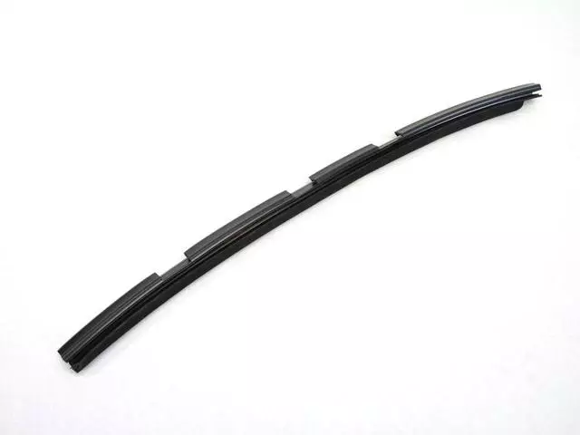 Door Belt Weatherstrip, Left