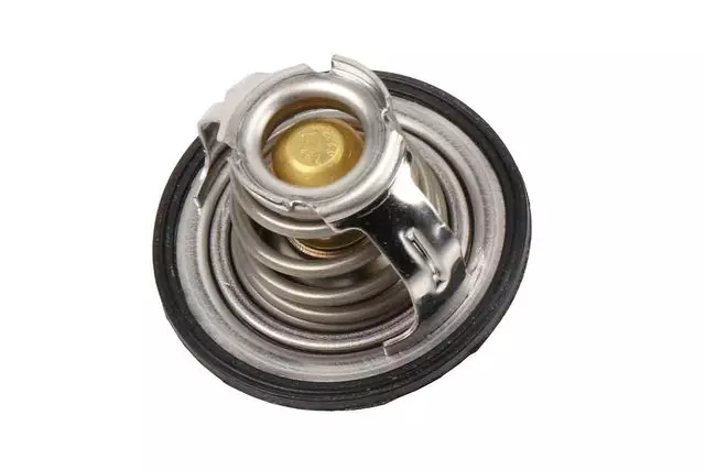 Acdelco™ Thermostat