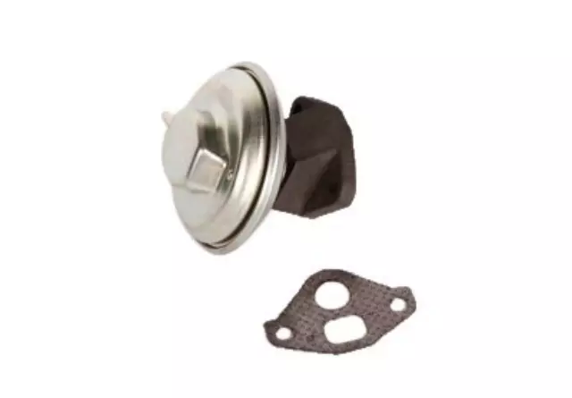 Exhaust Gas Recirculation (EGR) Valve Kit with Gasket