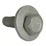 Hinge Screw