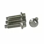 Oil Pan Screw