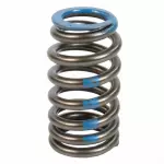 Valve Springs