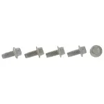 Upper Plate Screw