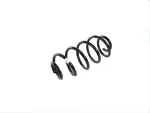 Rear Coil Spring, Right Rear