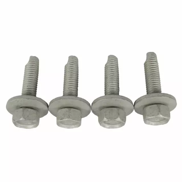 N806738-S439 - Door Hinge Bolt - 2003-2021 Ford | Eastgate Ford Parts