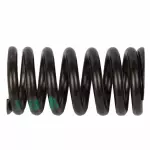 Valve Springs