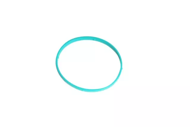 Fuel Injection Throttle Body Seal