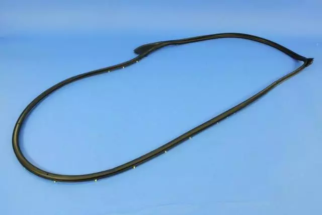 Front Door Opening Weatherstrip, Right