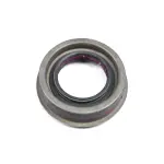 Drive Pinion Seal