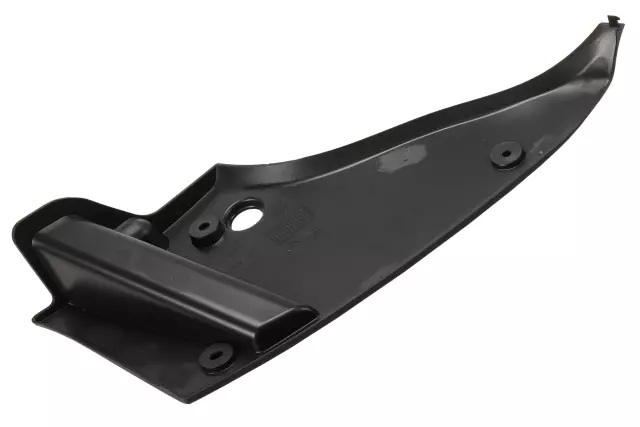 Passenger Side Tail Lamp Trim Panel