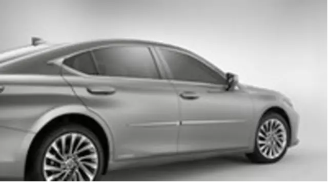 2019-2020 Lexus - Molding, Body Side