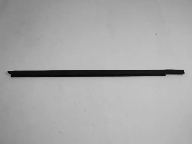 Rear Door Belt Outer Weatherstrip, Right