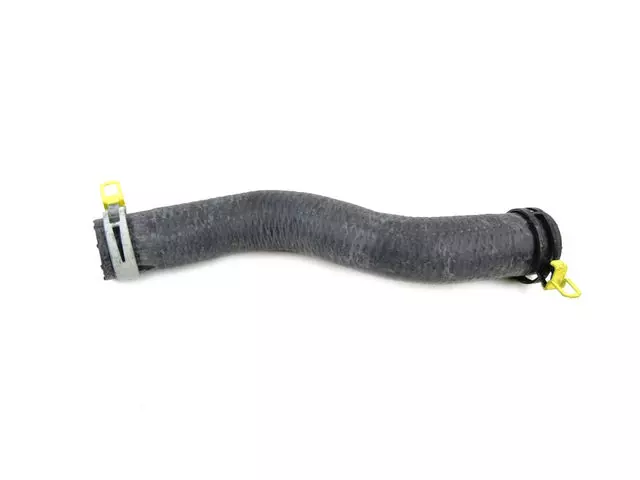 Radiator Outlet Hose And Clamp