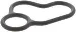 Engine Oil Cooler Gasket