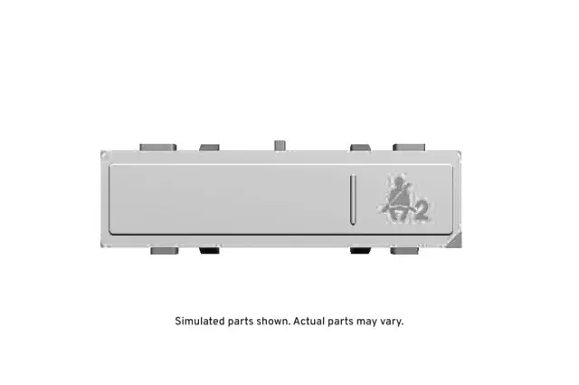 Ebony Instrument Panel Airbag Arming Status Display