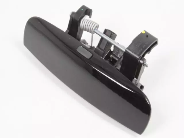 2011-2023 Dodge Front Door Exterior Handle, Right 1MZ84DX8AM | My