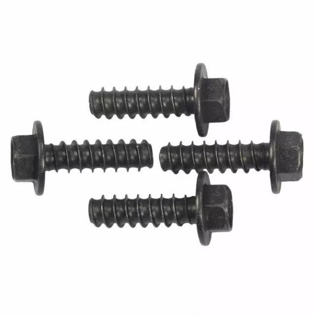 Tail Lamp Assembly Screw