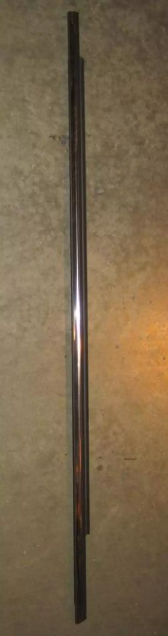 Door Window Belt Weatherstrip (Left, Rear)