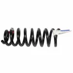 2002-2006 Ford - Coil Spring