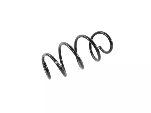 Rear Coil Spring, Left Rear