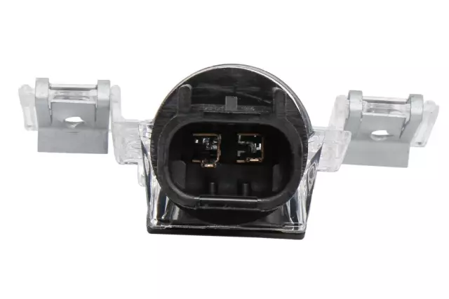 Rear License Plate Lamp