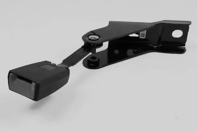 Rear Inner Seat Belt, Right