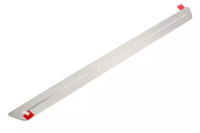 Front Side Door Sill Trim Plate