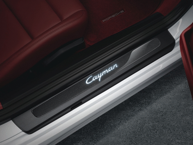 Door Entry Guards In Carbon - Illuminated