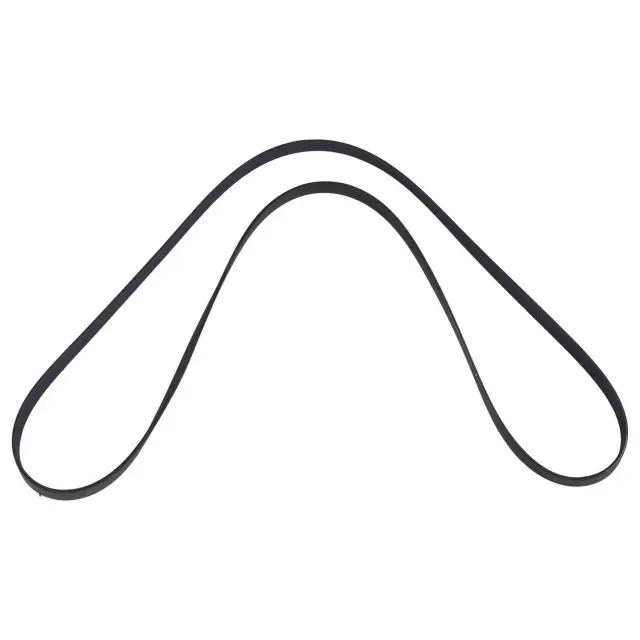 Genuine OEM Ford Belts Blue Springs Ford Parts