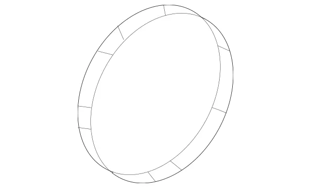 Elastomeric Molded Seal                 