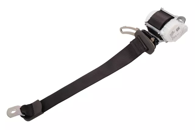 Cocoa Rear Passenger Side Seat Belt