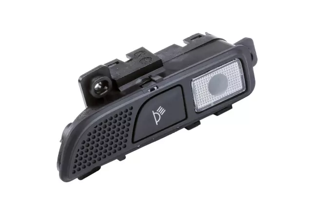 Jet Black Passenger Side Center Reading and Courtesy Lamp