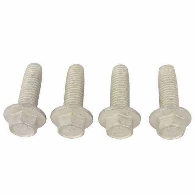 Outer Belt Assembly Screw