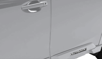 Genuine OEM Door Edge Guards - Ice 