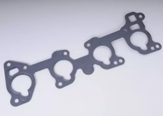 Lower Intake Manifold Gasket