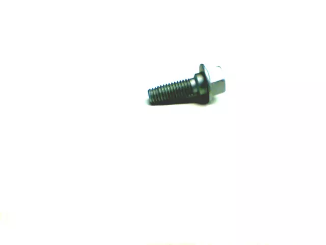 Lower Hinge Bolt