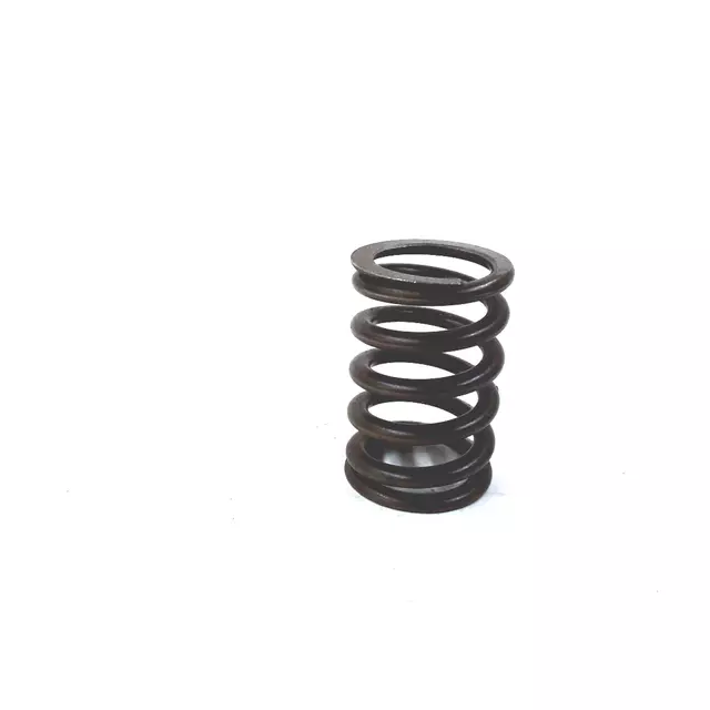 Valve Springs