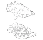 Cover, Engine Comp Lower