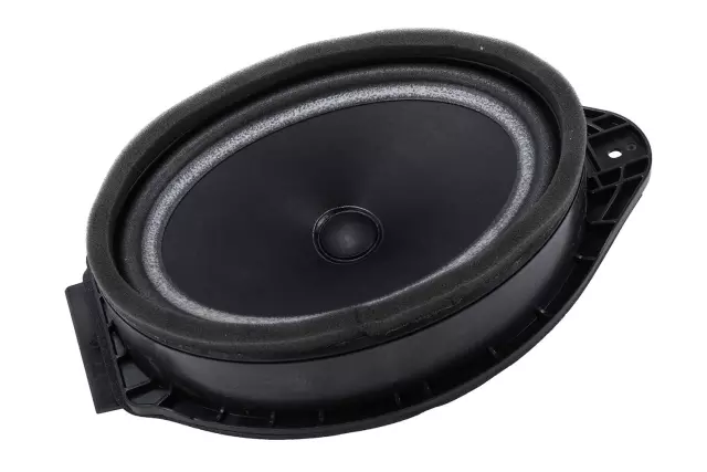 Radio Front Side Door Speaker