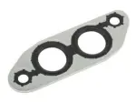 Engine Oil Cooler Gasket