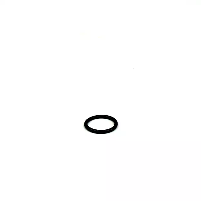 Seal Ring WHT-002-789 | Audi USA Parts