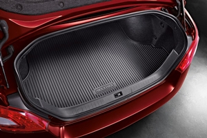 Cargo Trunk Protector