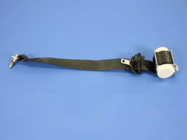 Rear Outer Seat Belt
