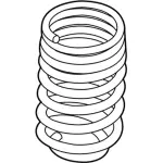 Coil Spring