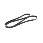 Serpentine Belt