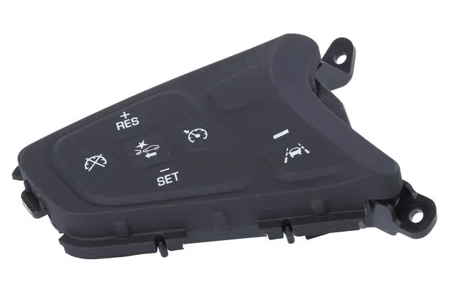Black Cruise Control Switch