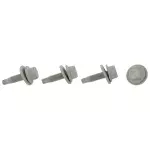 Hinge Assembly Bolt