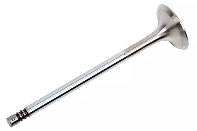 Engine Exhaust Valve