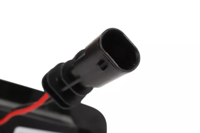 Rear License Plate Lamp and Camera Assembly